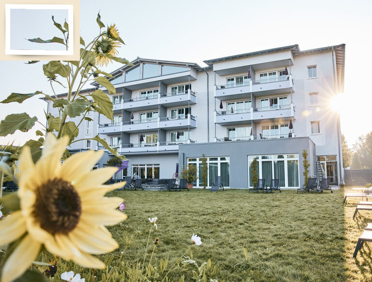 Einladender sonnenbeschienener Hotelaussenbereich mit Liegen vor dem 4-Sterne-Sporthotel Holzapfel in Bayern.