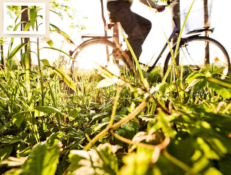 Eine Person fährt auf dem Mountainbike durch das saftige grüne Gras in Bad Füssing.
