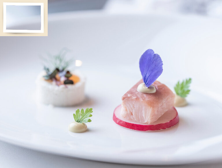 Ein dekoriertes kulinarisches Meisterwerk auf einem Porzellanteller des Gesundheitshotel Restaurants Holzapfel bei Passau.