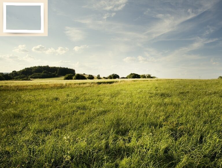 Eine ruhige Sommerlandschaft erstreckt sich mit Bäumen und einer weiten Fläche in der Nähe des Hotels Holzapfel bad Füssing..